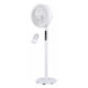 FSF-S12ER LARGE 2